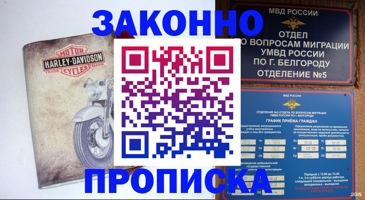 прописка для школы в Кубинке